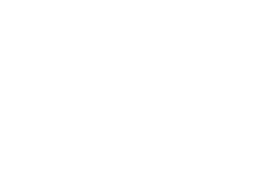 Logo 12