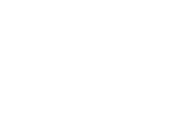 Logo 17