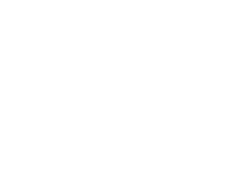 Logo 11